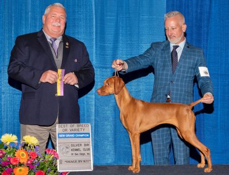 Crush New Grand Champion